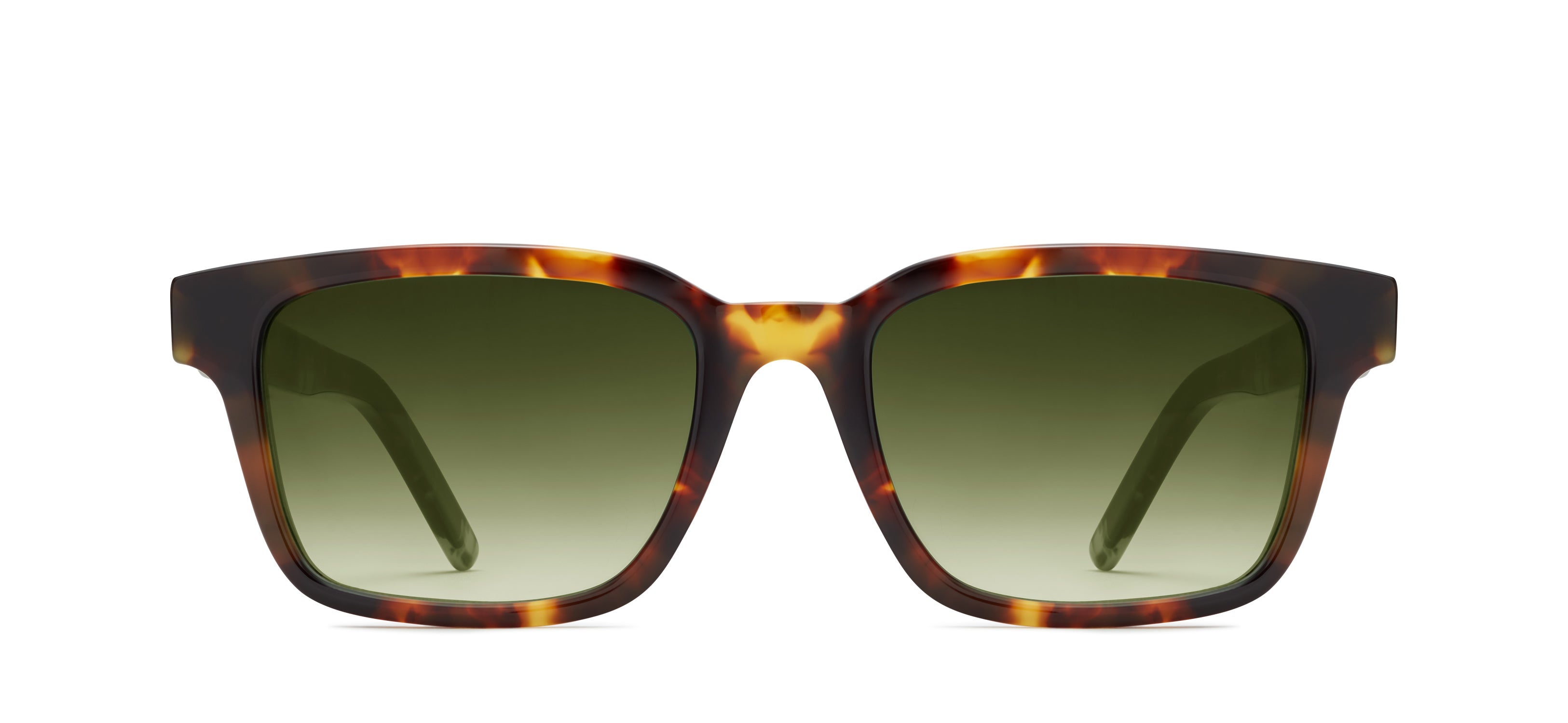 Tortoise 521