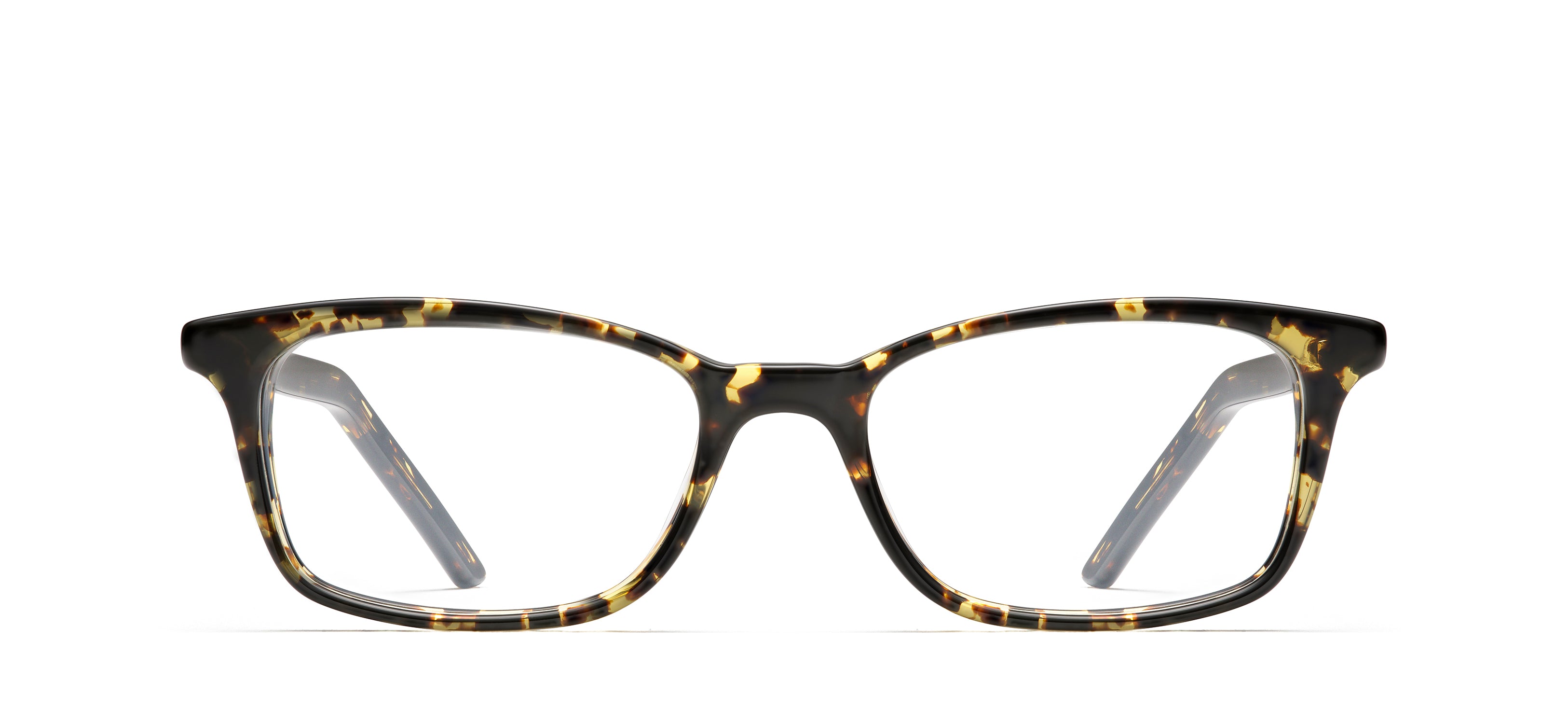 Tokyo Tortoise 243