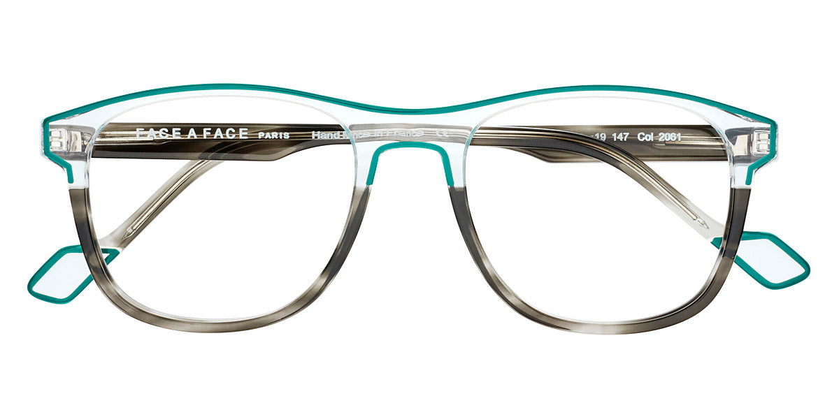 Gray Transparent Tortoise