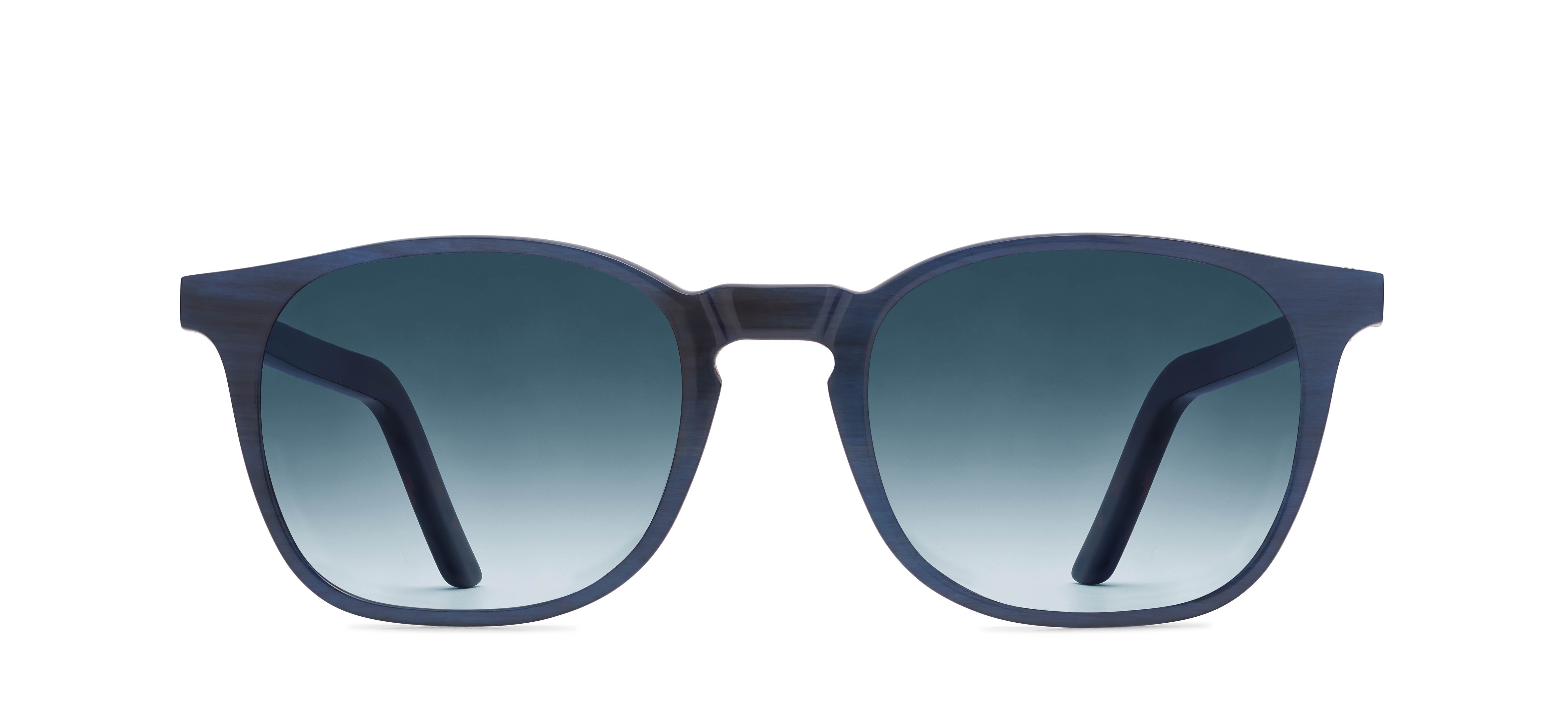 Blue -Tortoise 1187-9085