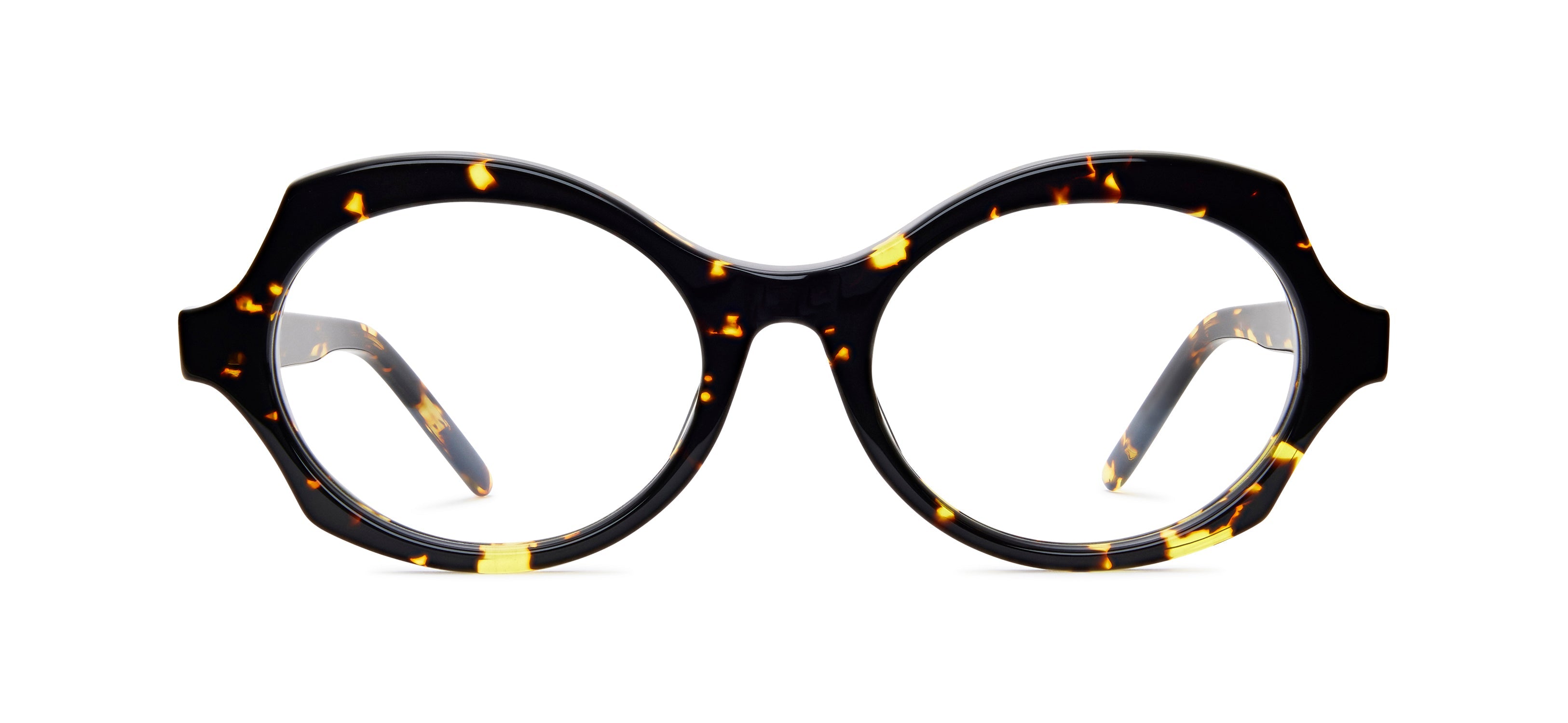 Tokyo Tortoise 510