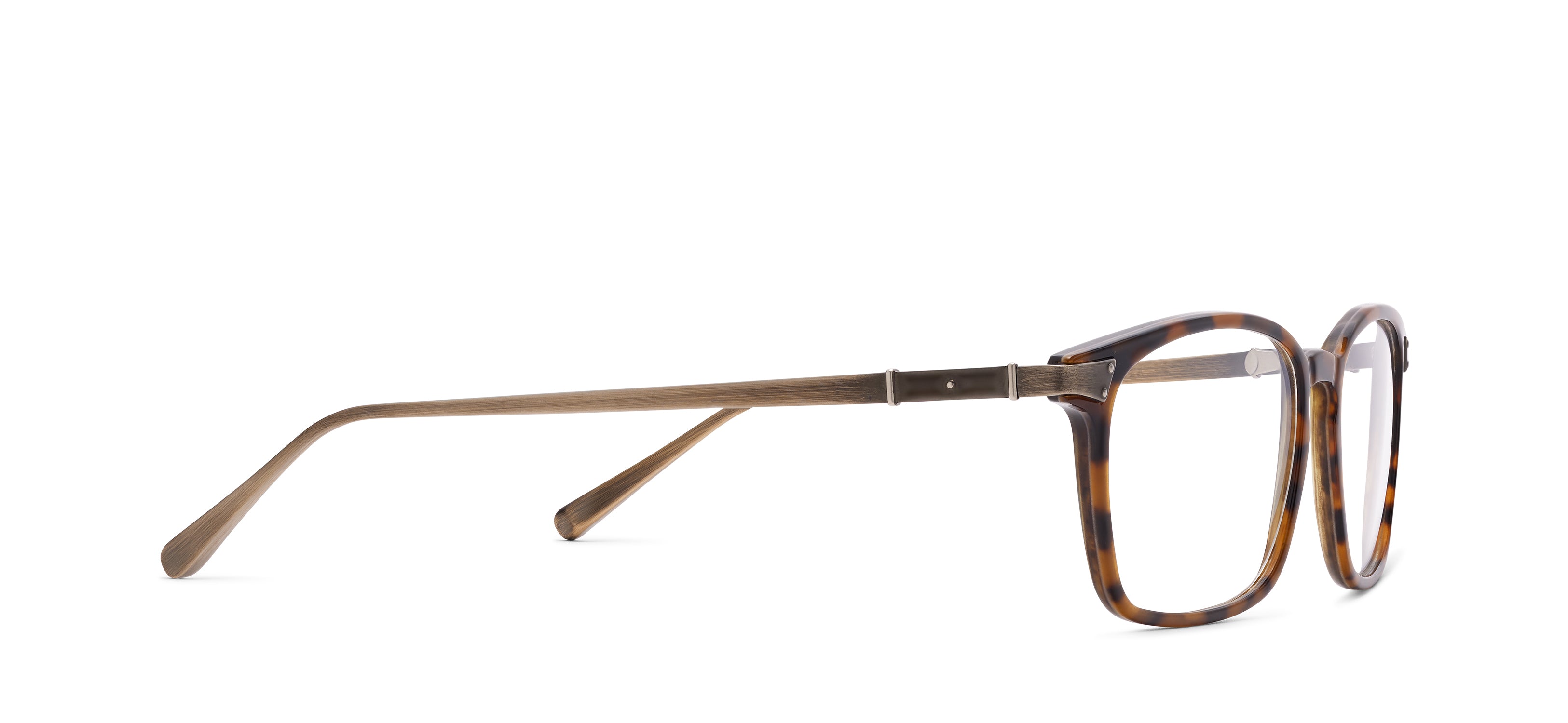 RMNYC 893 HORN - Tortoise / Antique Gold 928 alternate angle