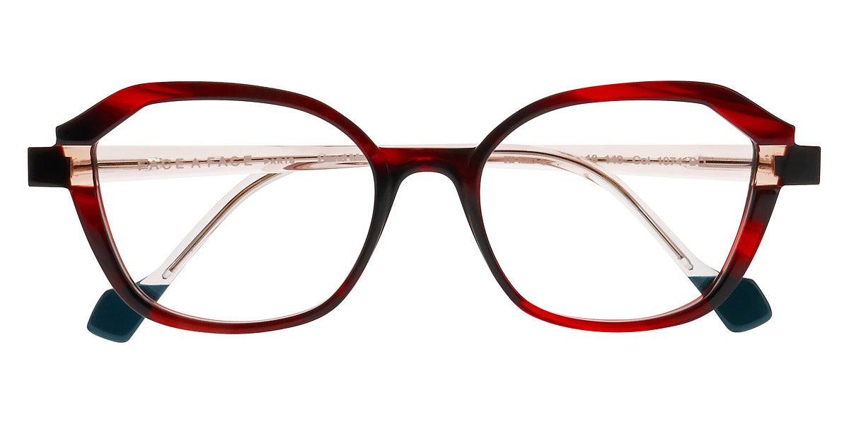 Red Transparent Tortoise