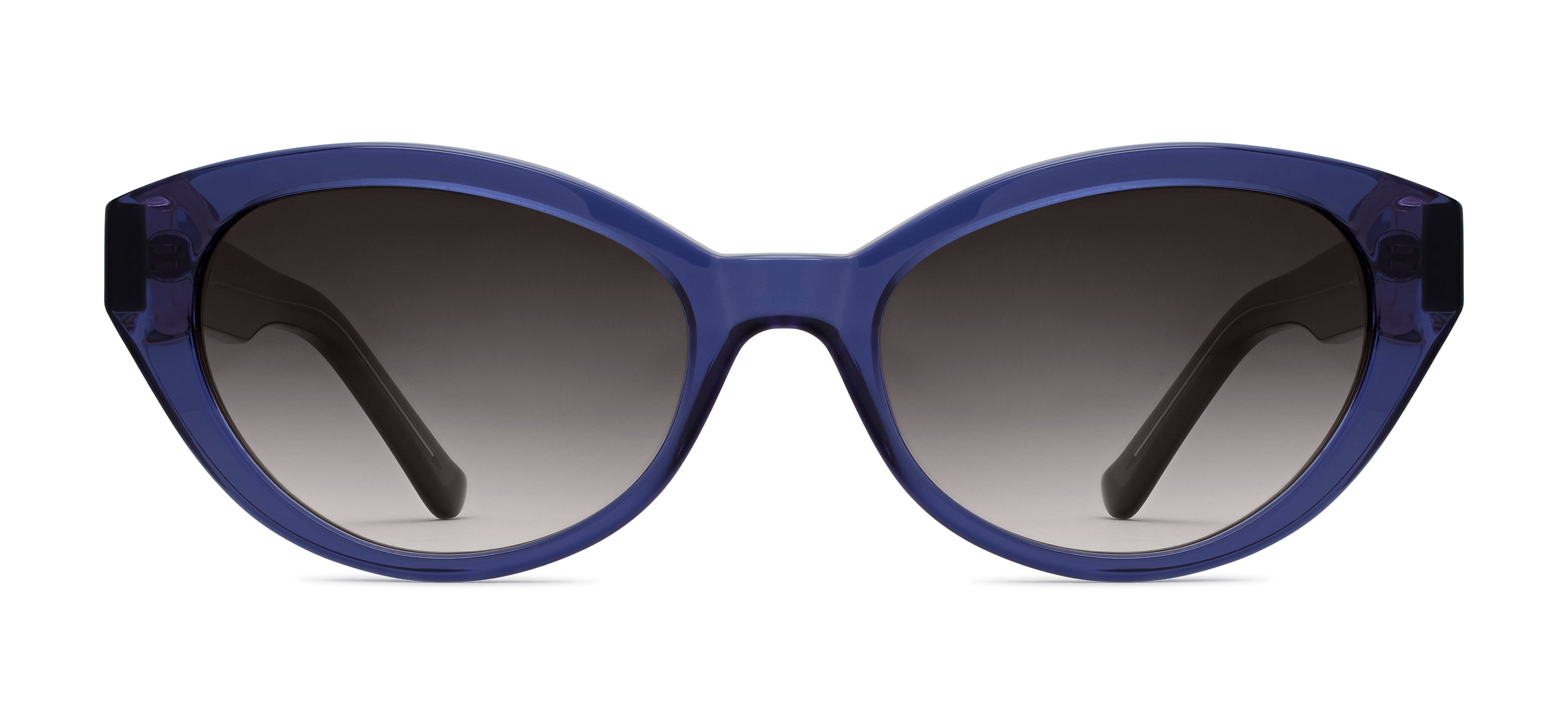 Indigo 503