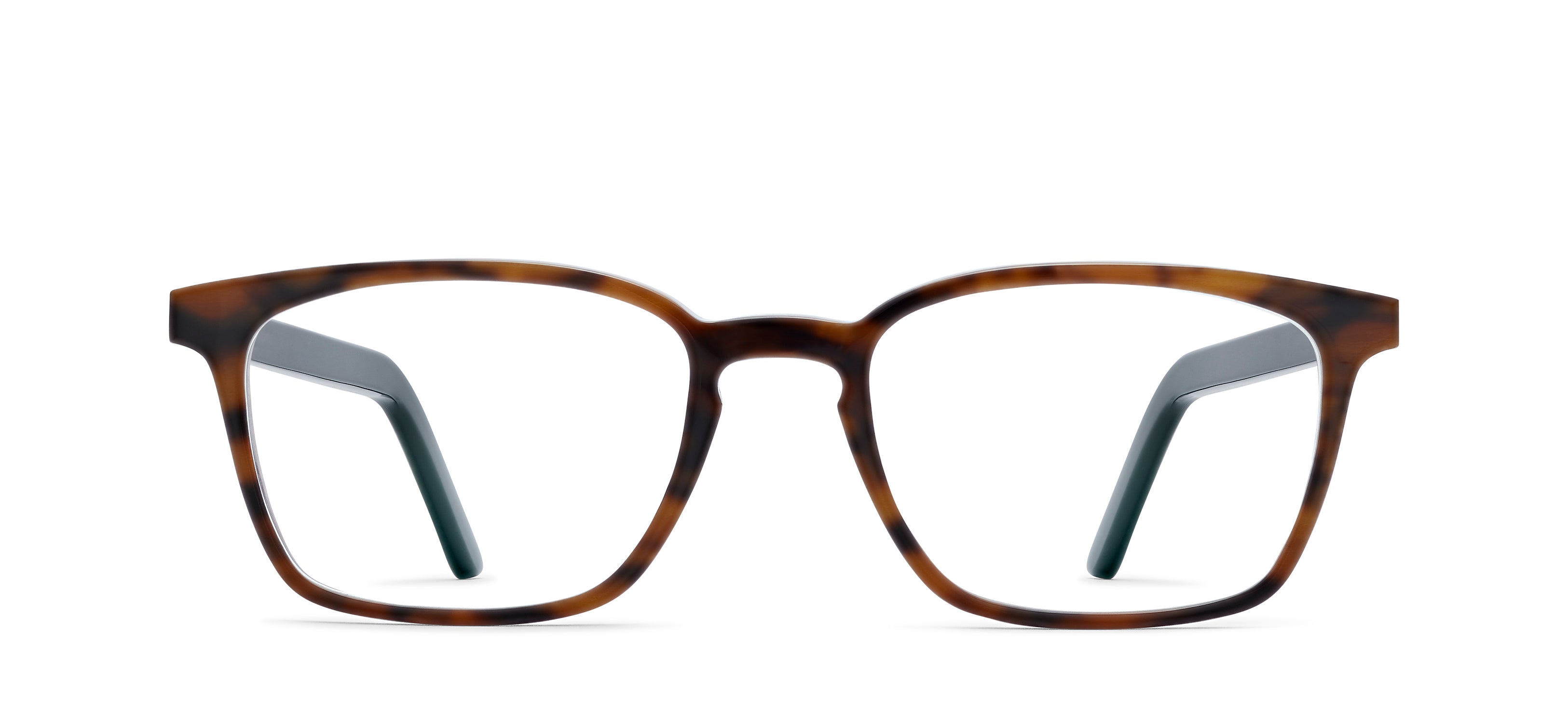 Tortoise - Black 928-H18