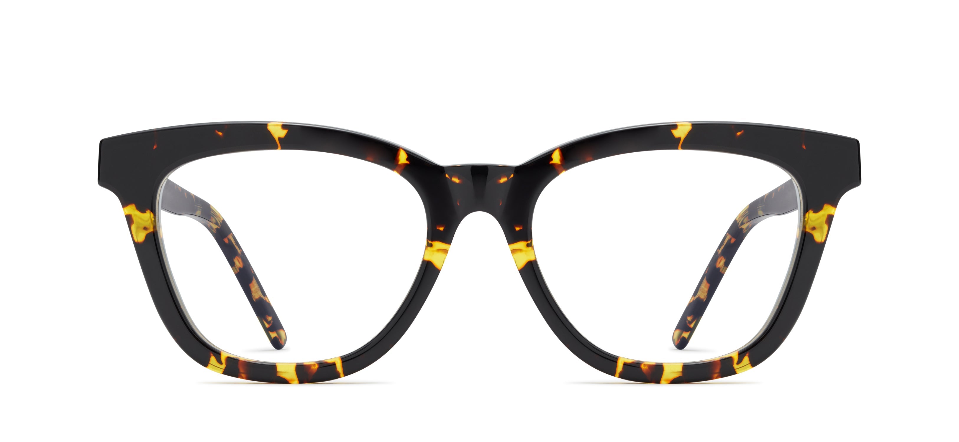 Tokyo Tortoise 510