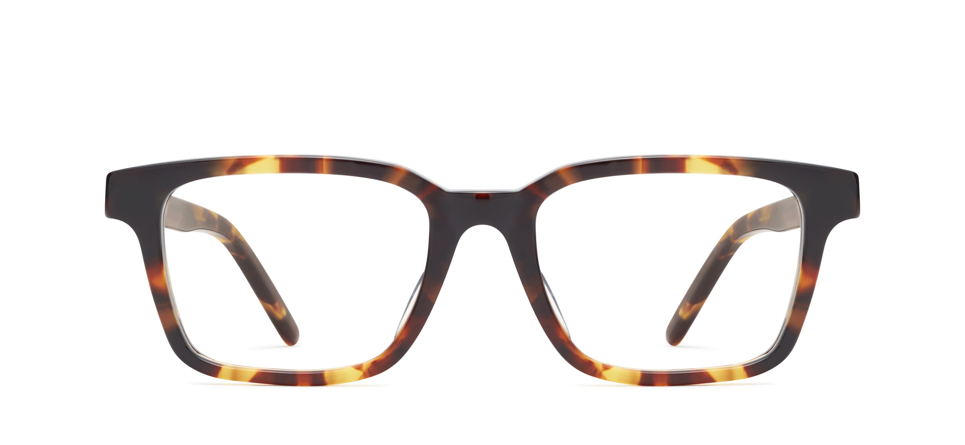 Tortoise 521