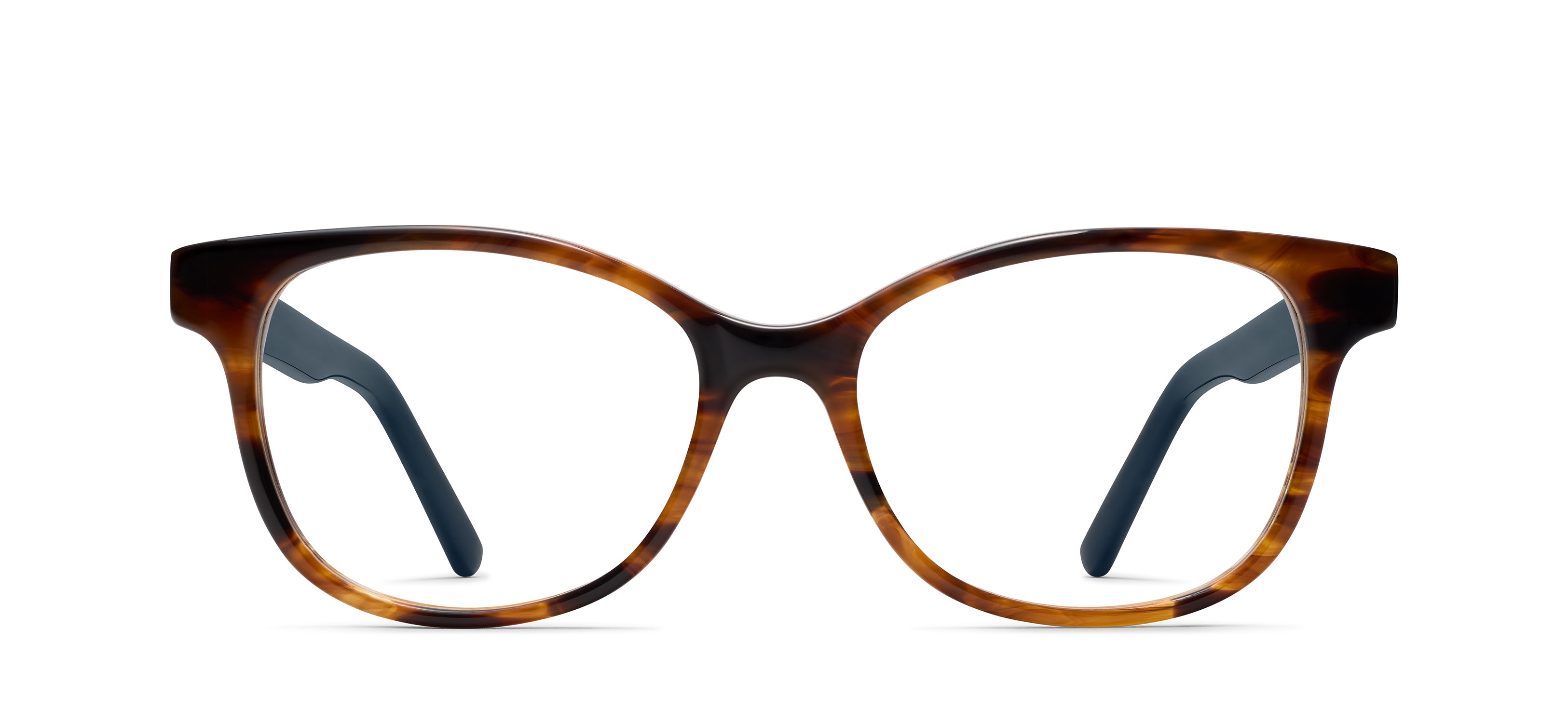 Sunset Tortoise 556