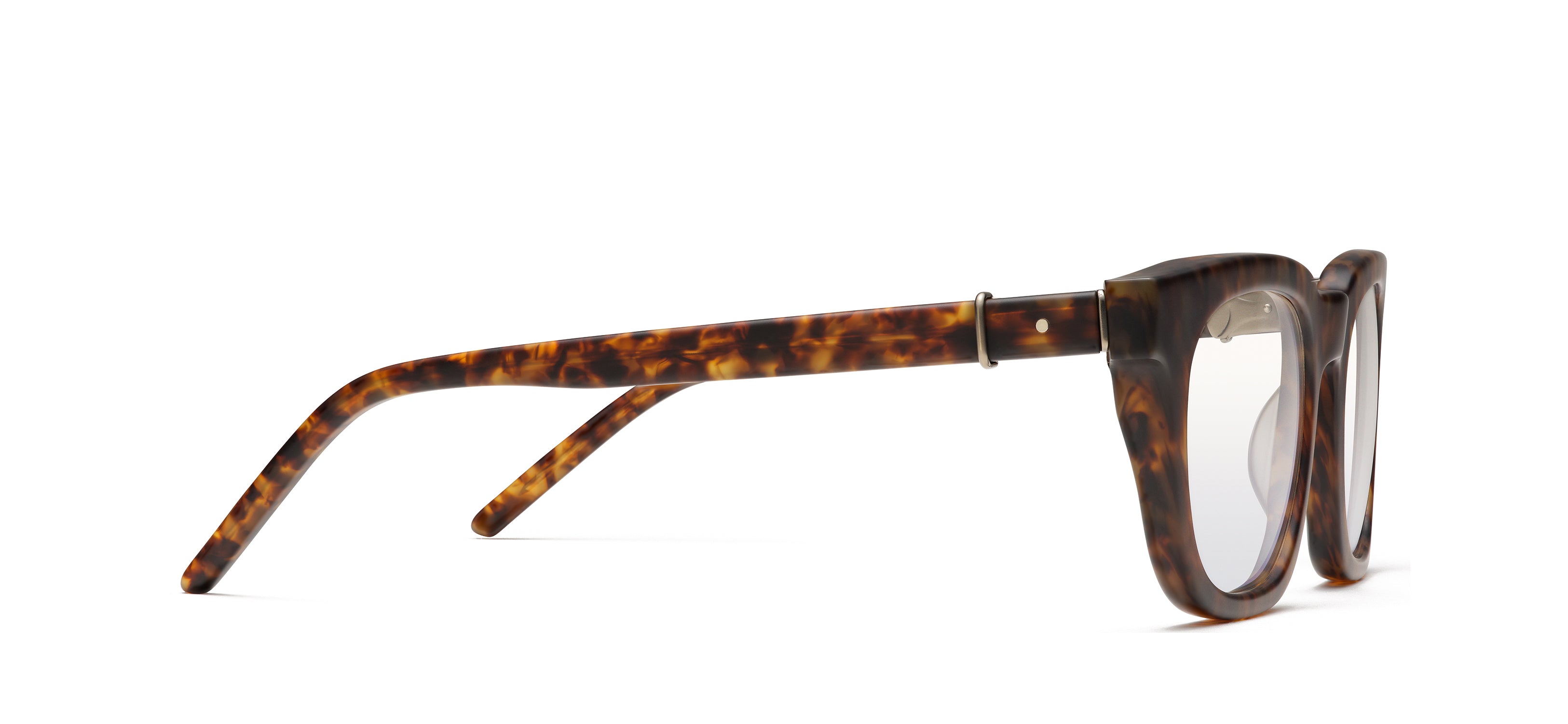 RMNYC 1013 - Matte Tortoise 311M alternate angle