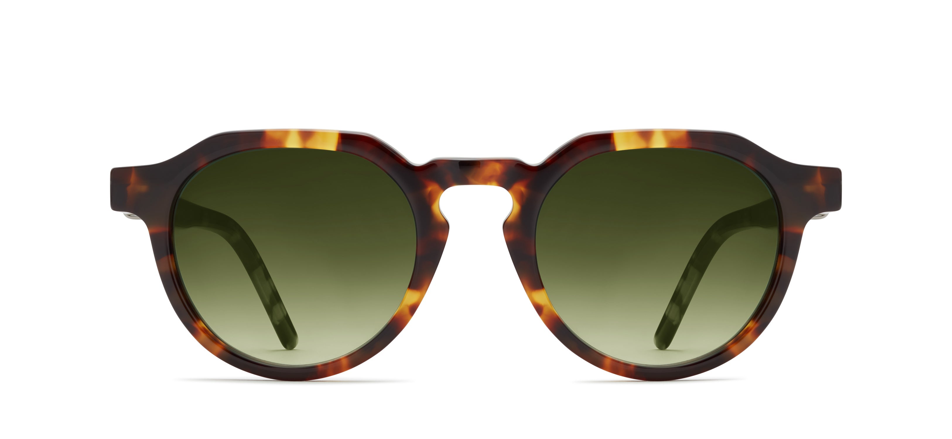 Tortoise 521