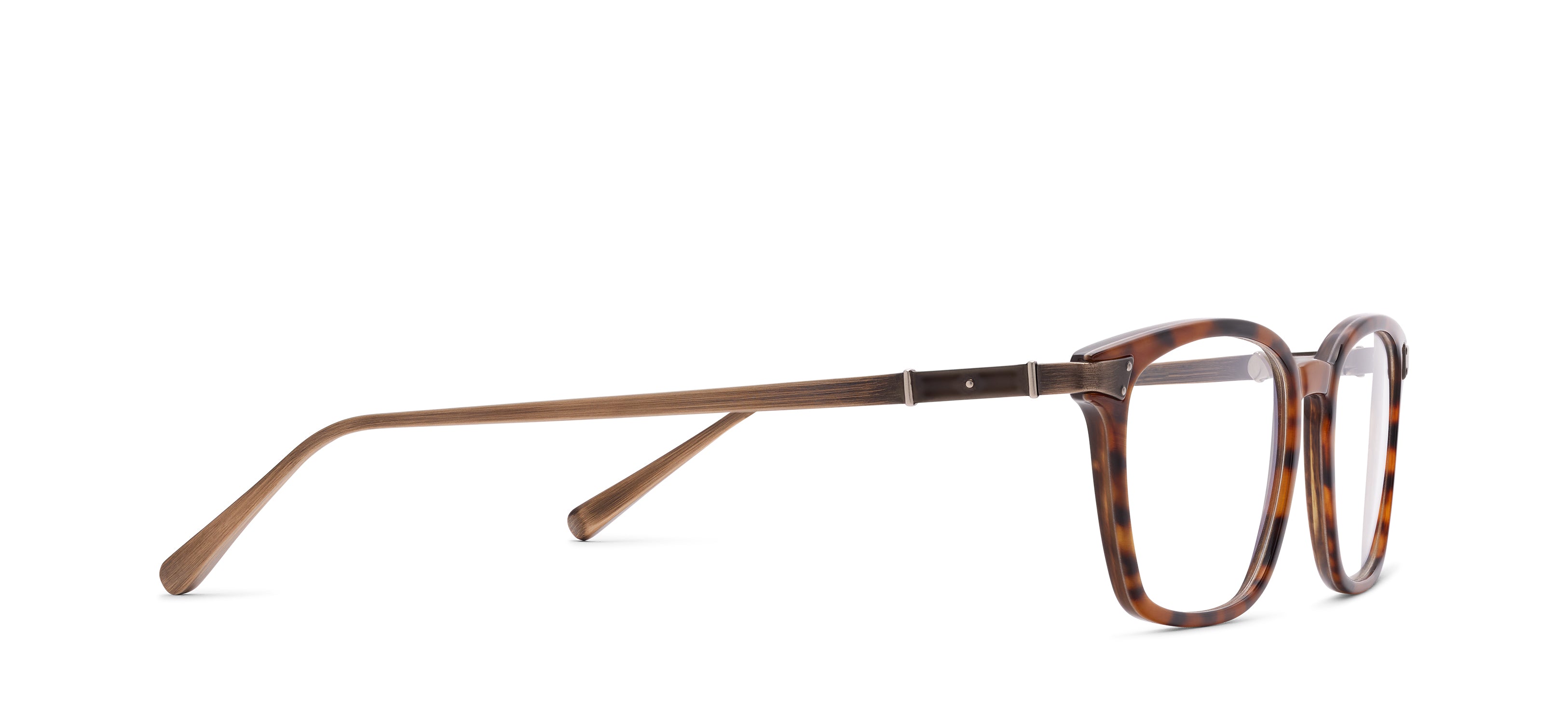 RMNYC 2015 HORN view 2