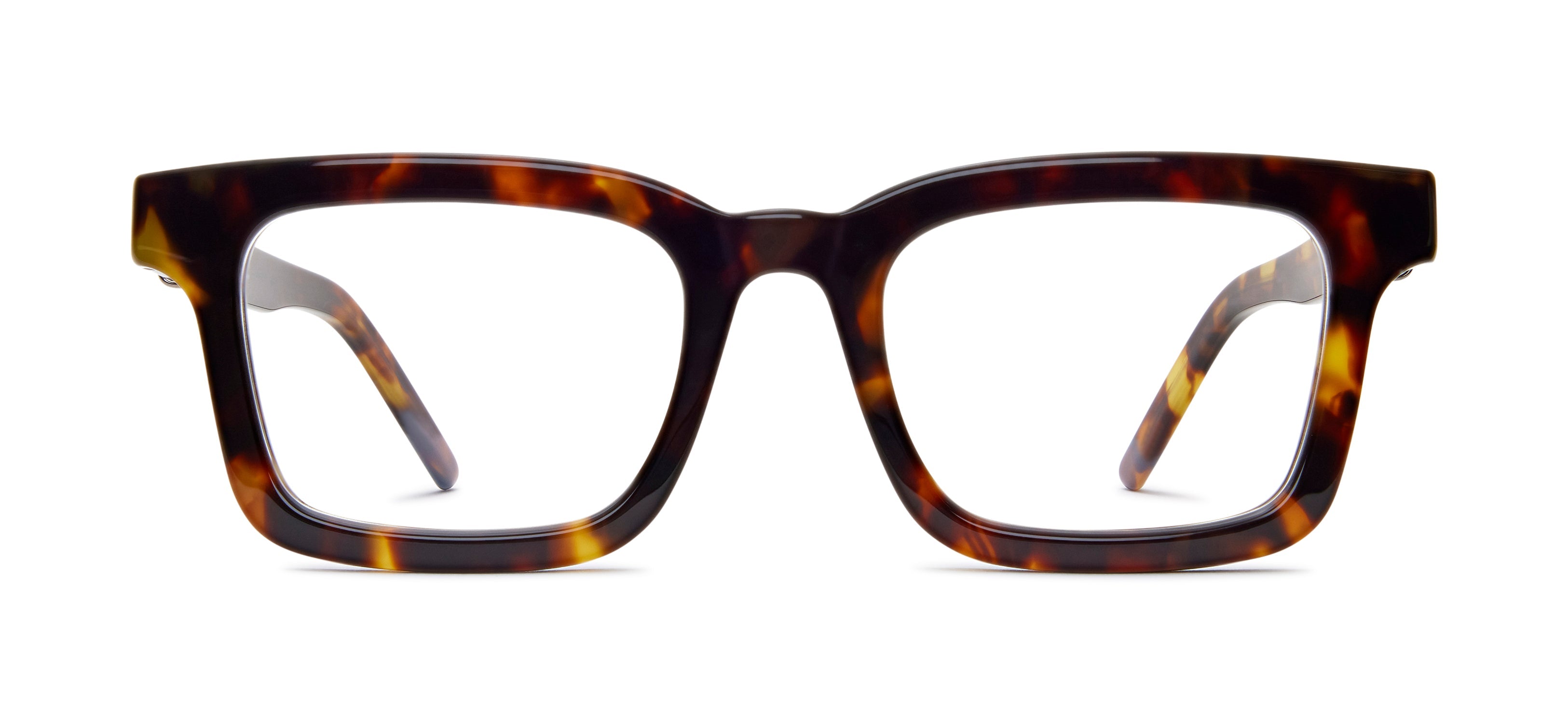 Tortoise 419