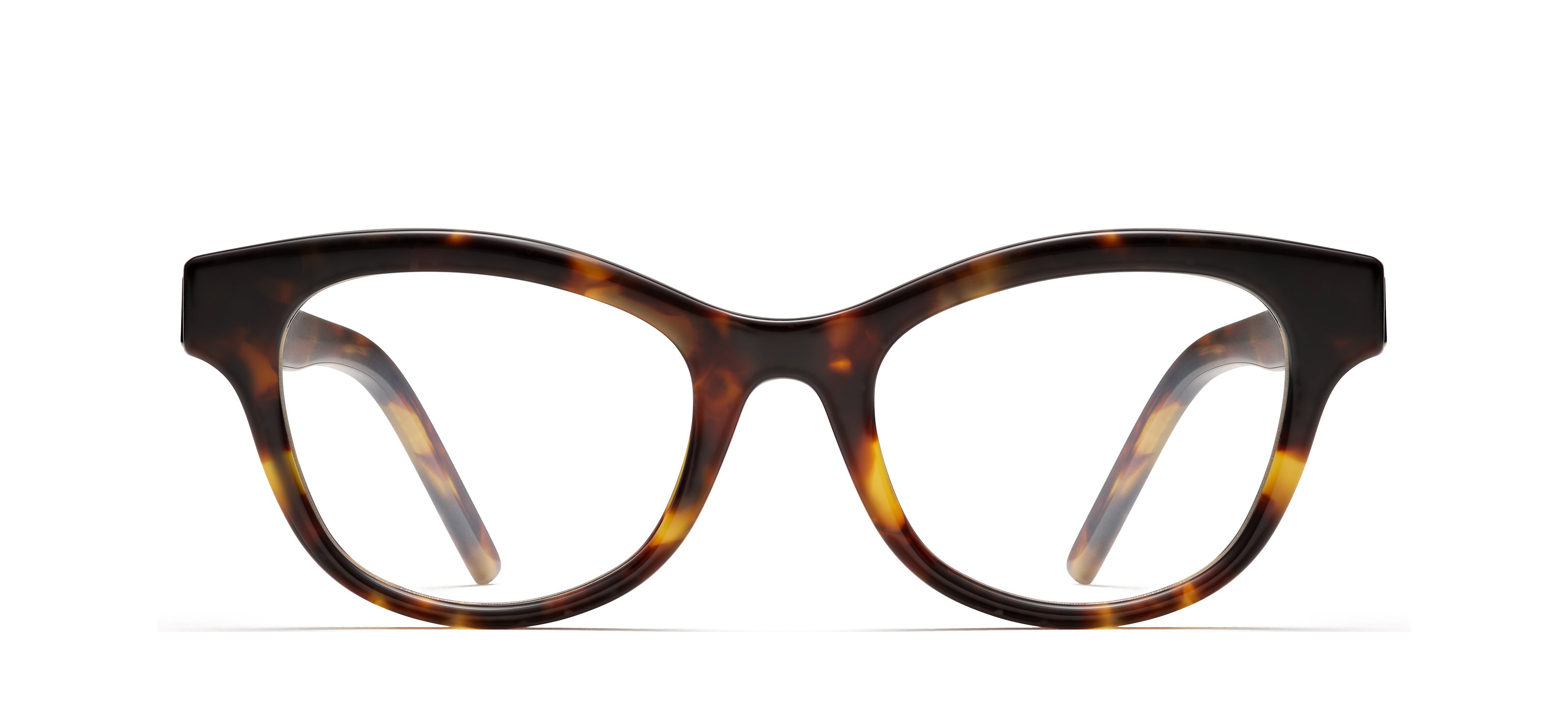Tortoise 419