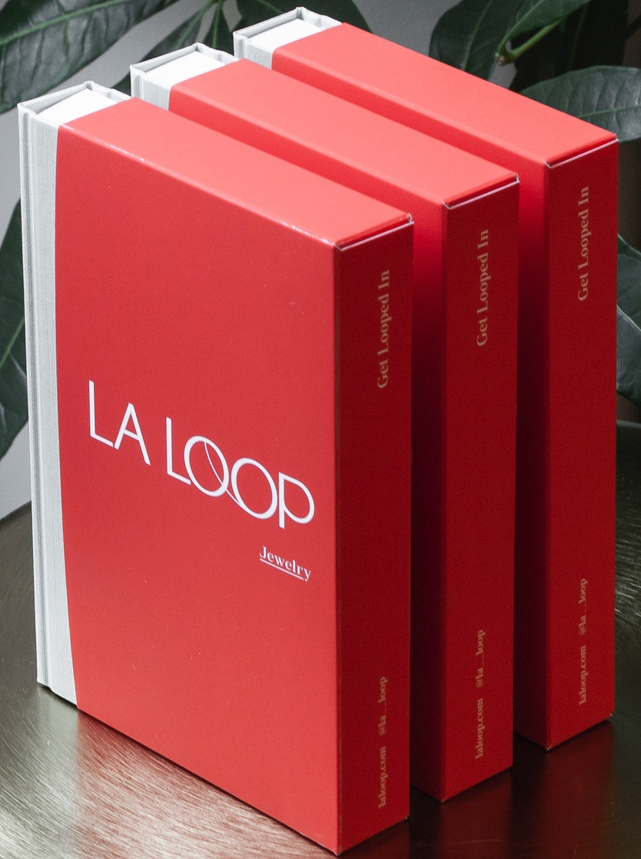 Premium Packaging view 1