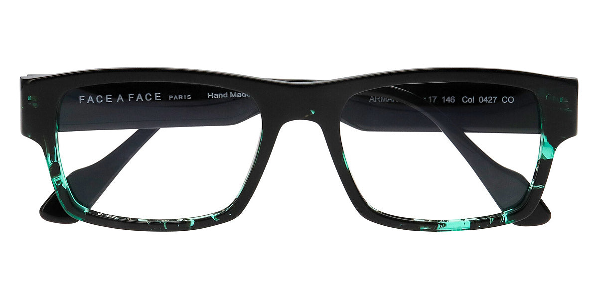 Tortoise Black Green