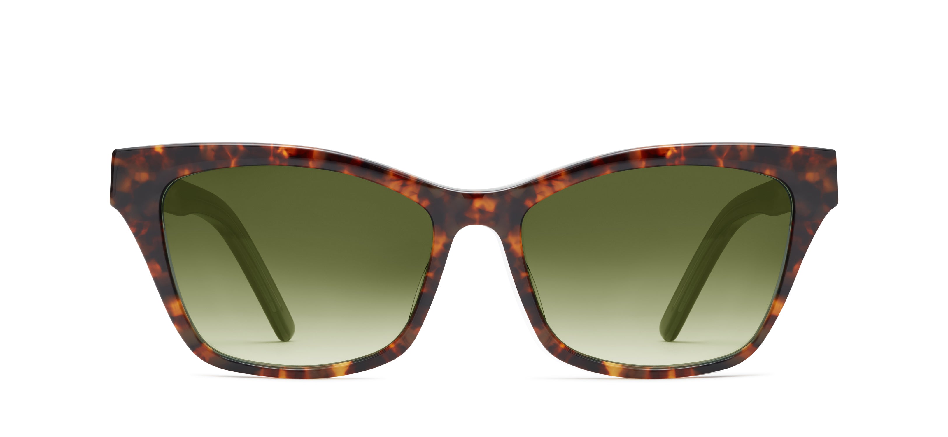 Tortoise 517