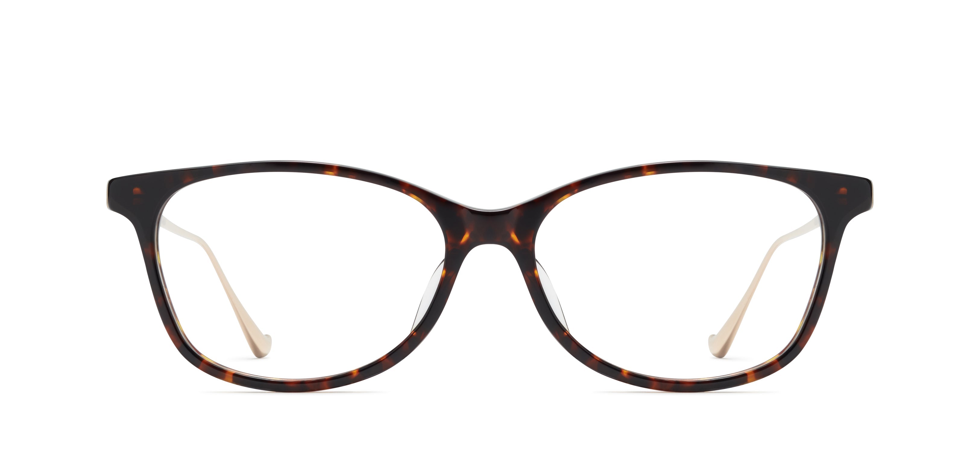 Tortoise / Gold 504