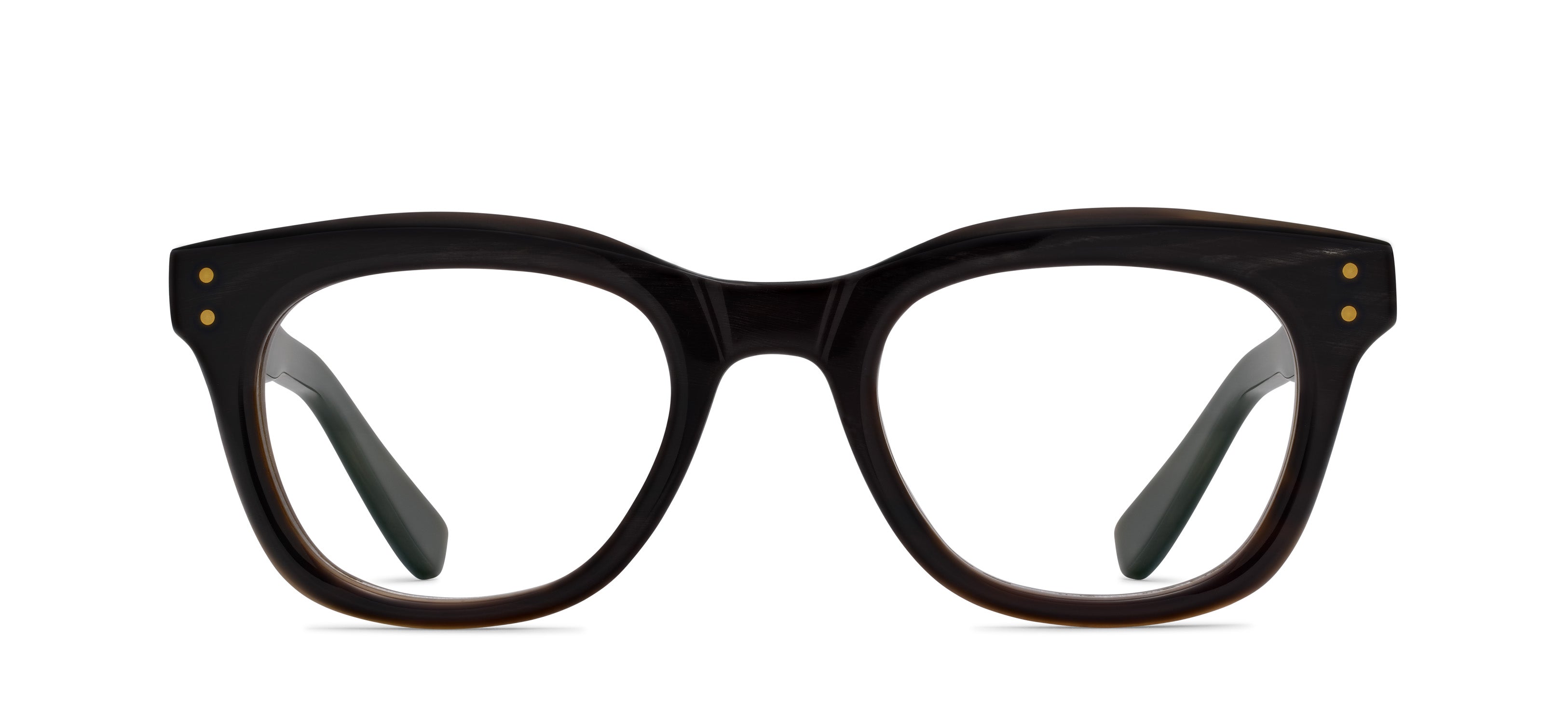 Black / Tortoise R005