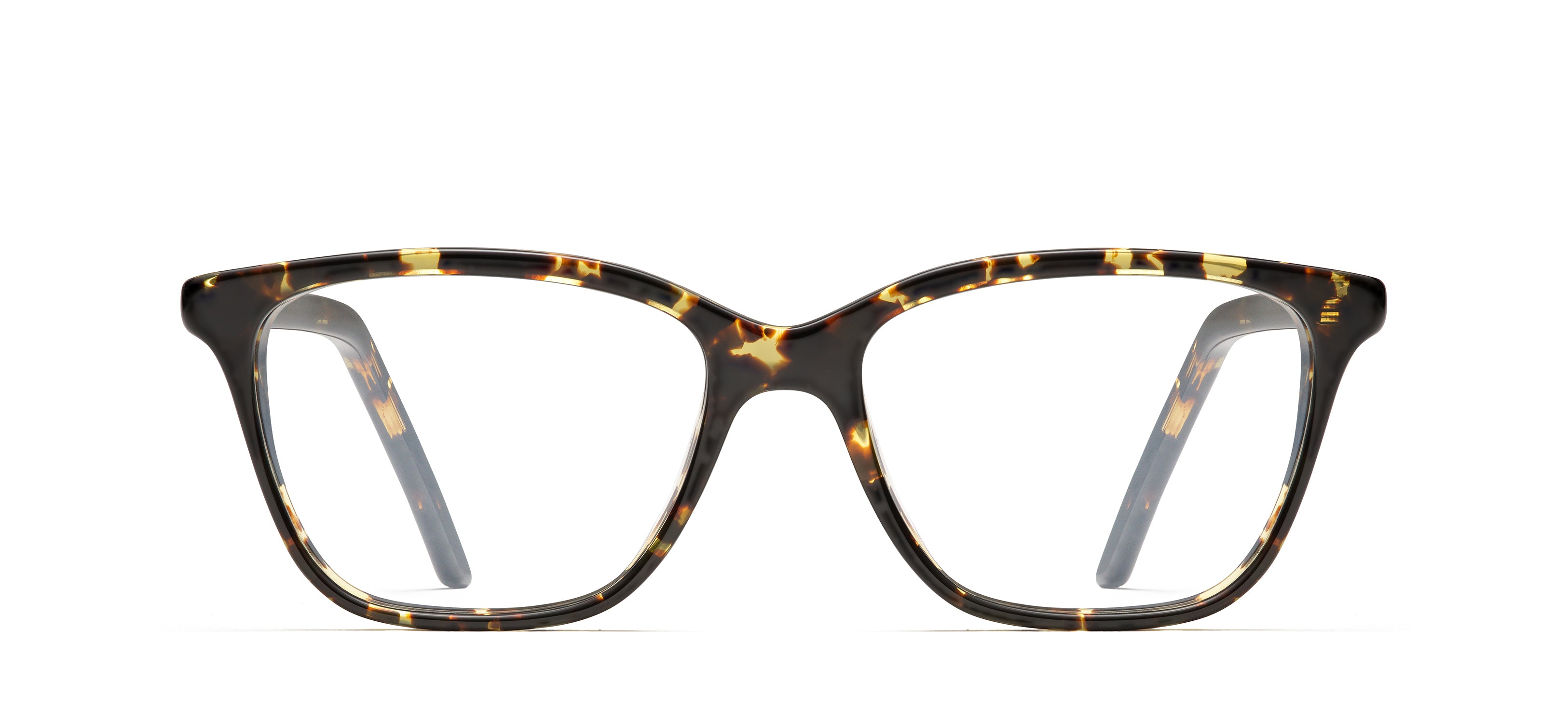 Tokyo Tortoise 243