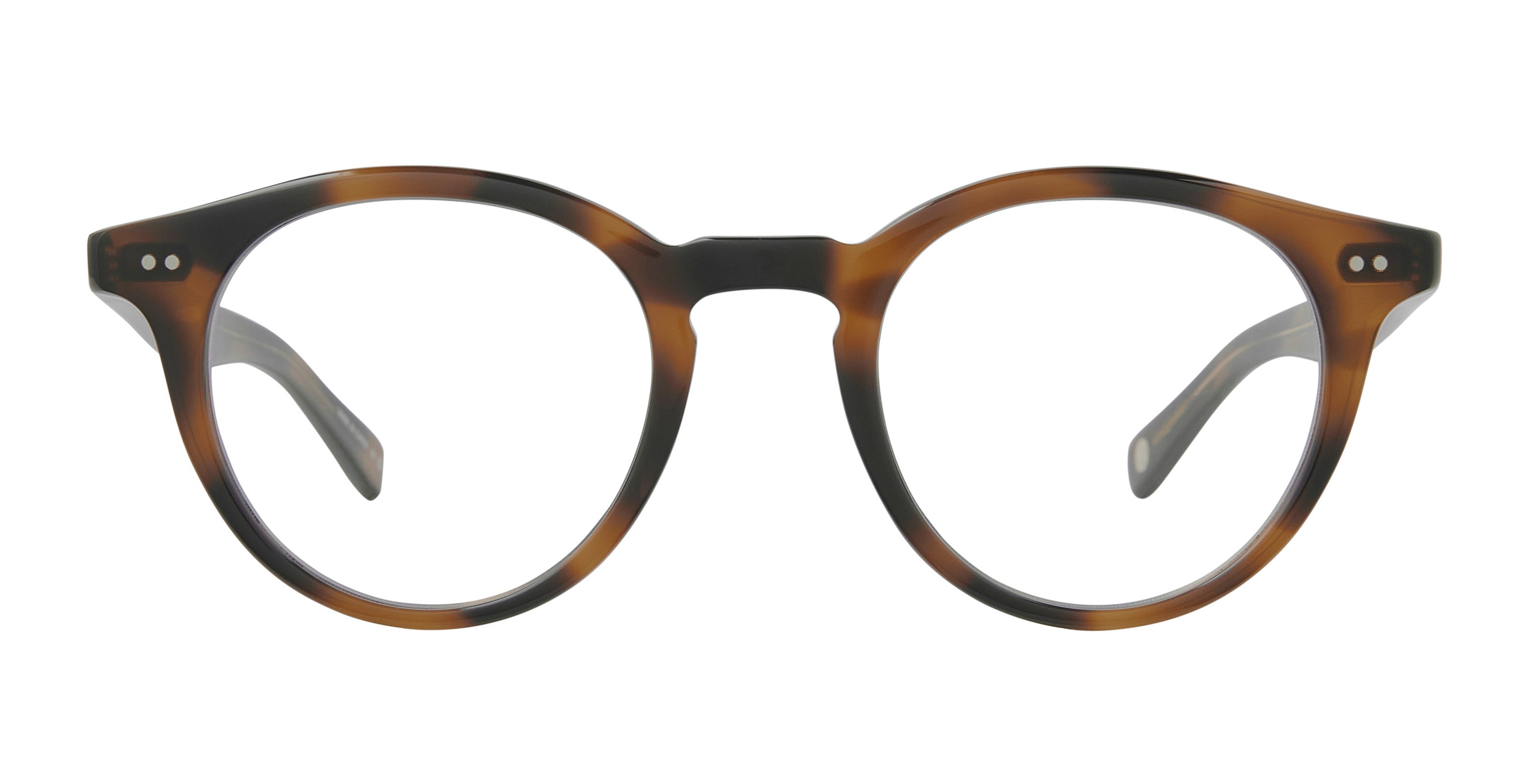 Spotted Brown Shell