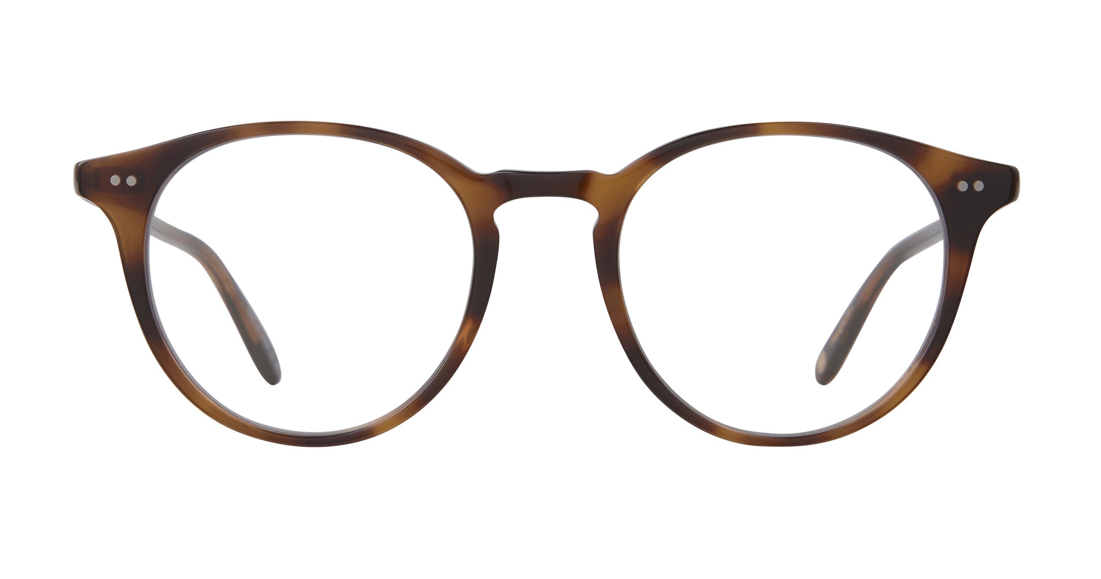 Spotted Brown Shell