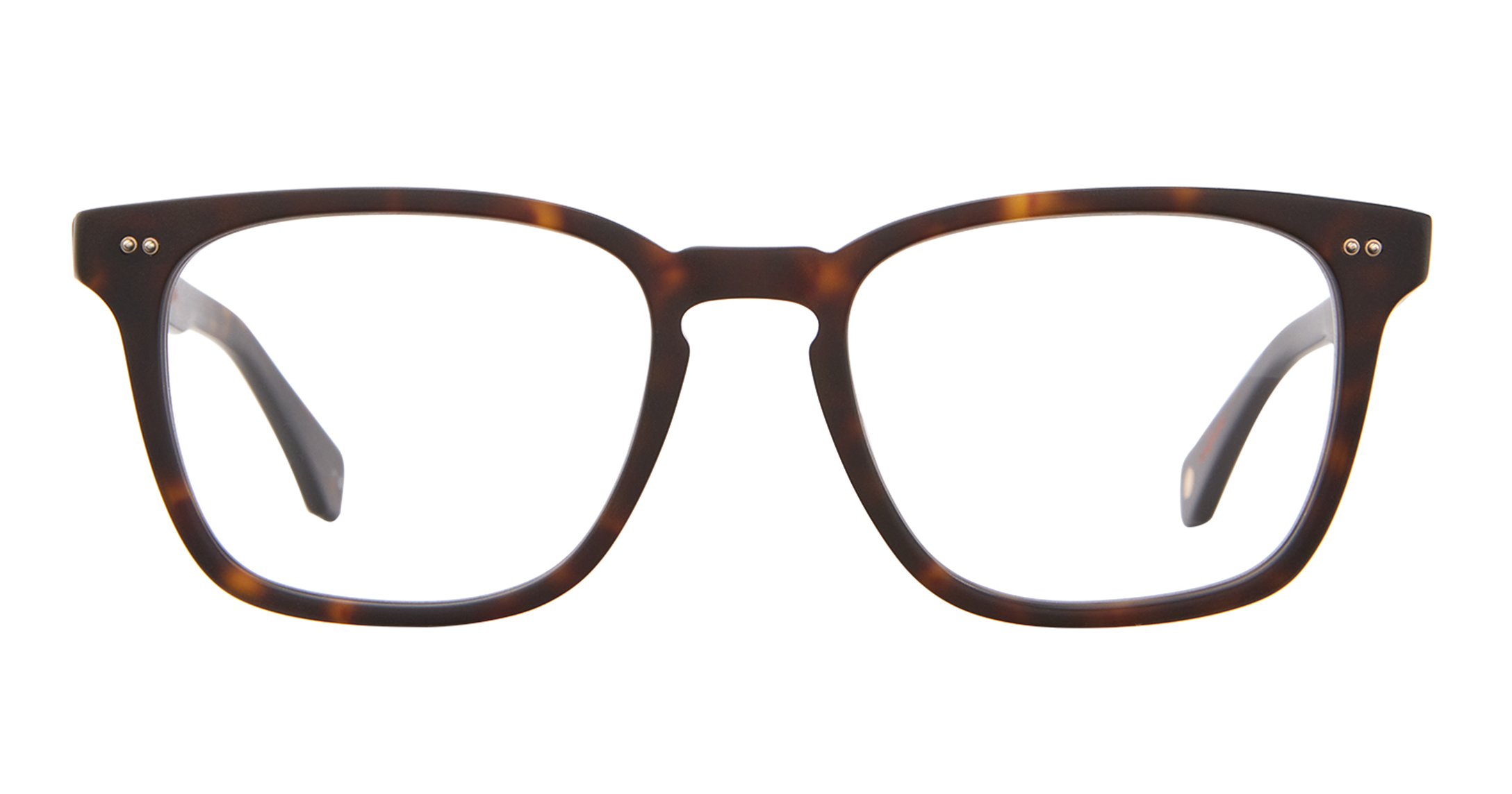 Matte Cookie Tortoise