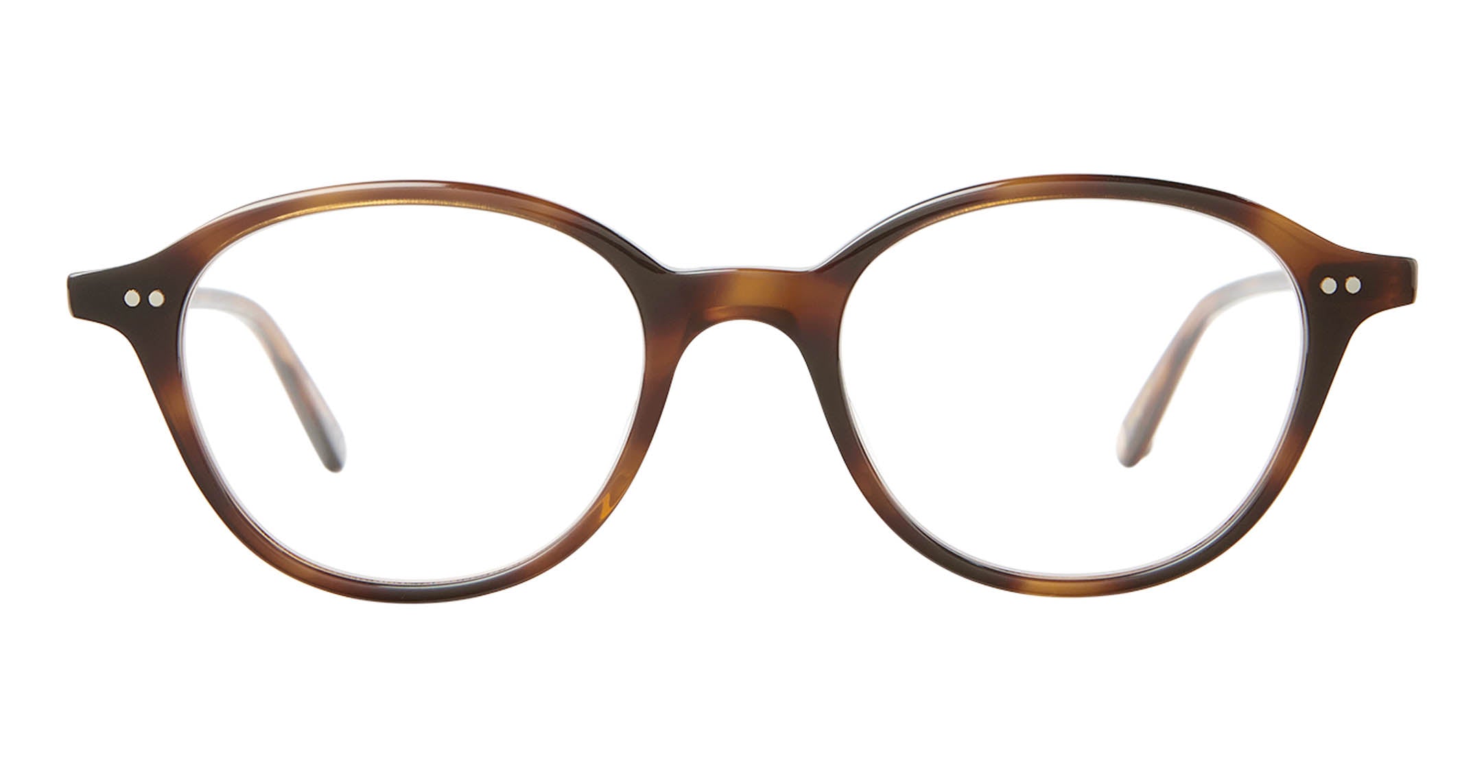 Spotted Brown Shell
