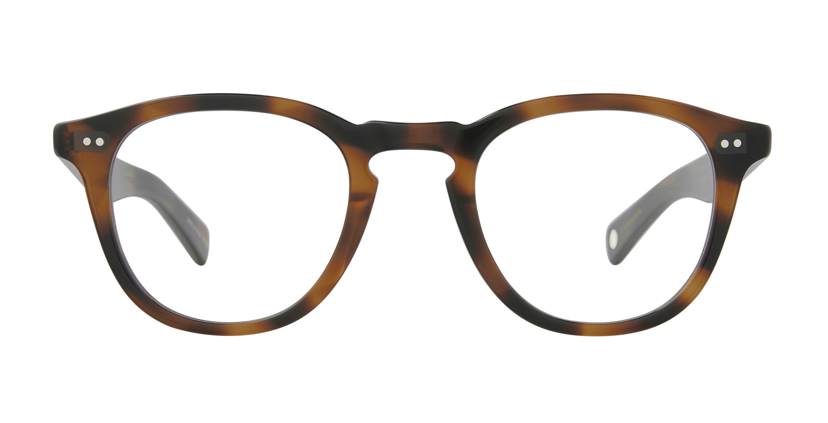 Spotted Brown Shell