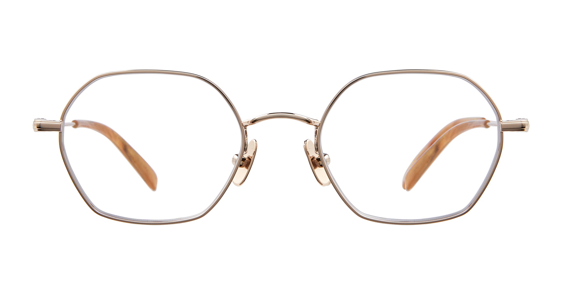 Gold-Agave Tortoise