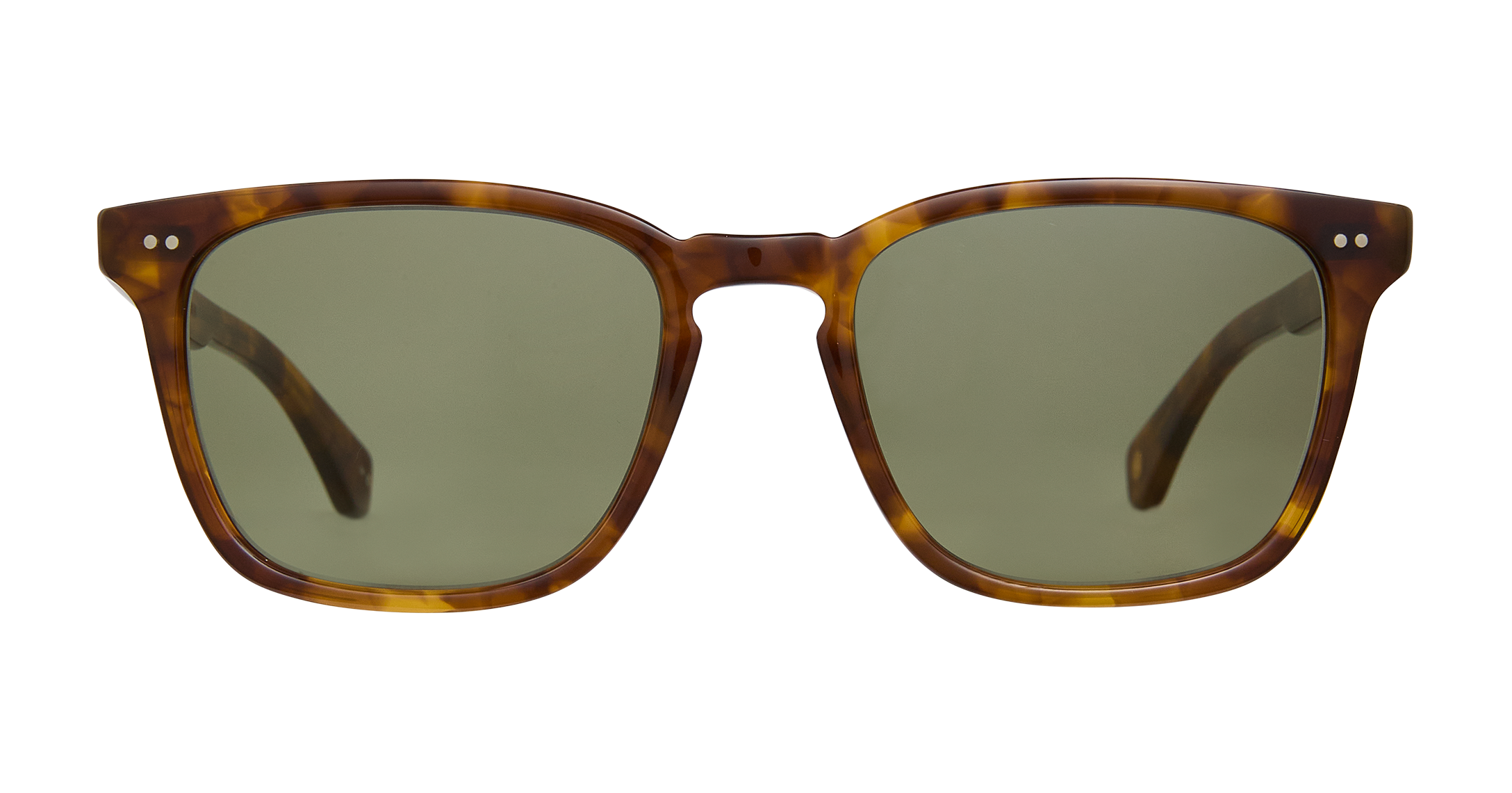 Hazel Tortoise