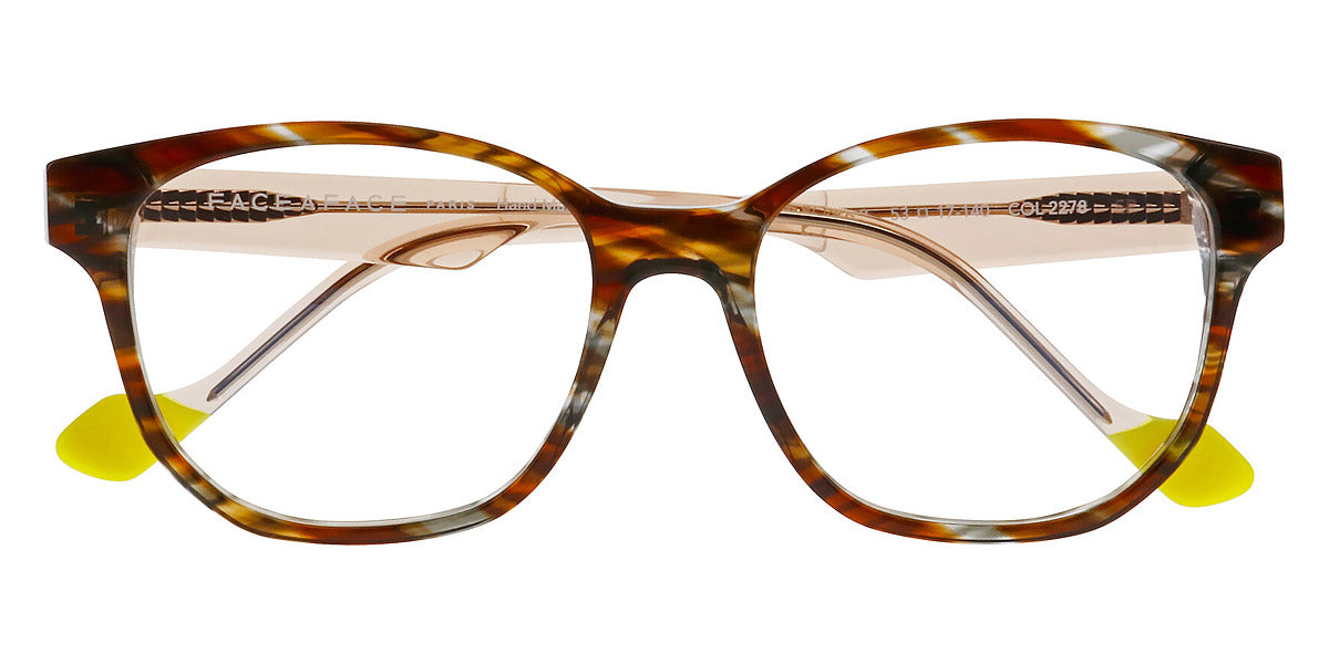 Pollock Tortoise
