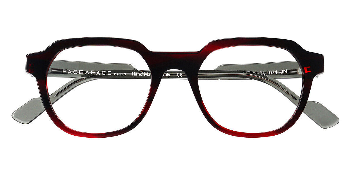 Red Transparent Tortoise