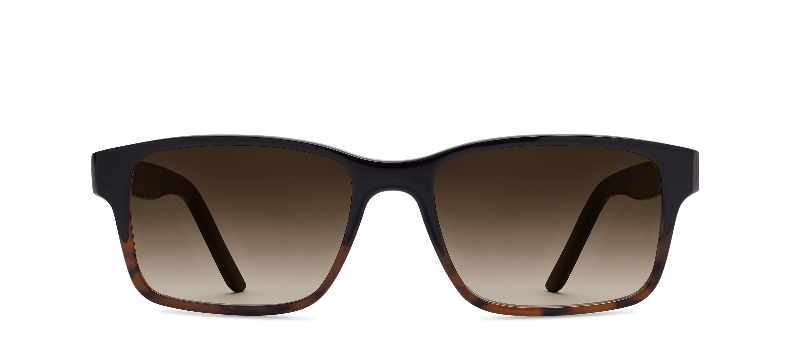 Black Tortoise Fade D.H10/910-H10