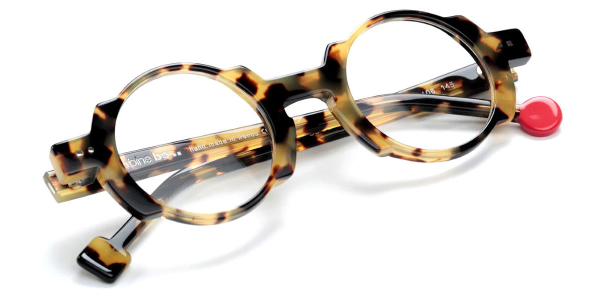 Shiny Tokyo Tortoise