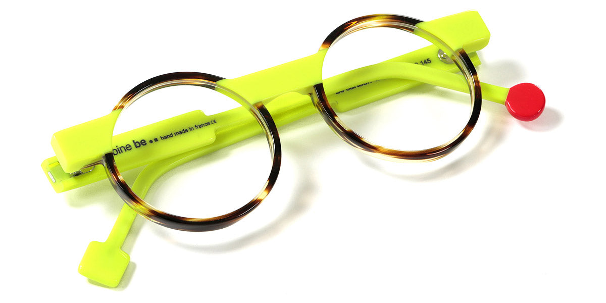 Shiny Flamed Tortoiseshell