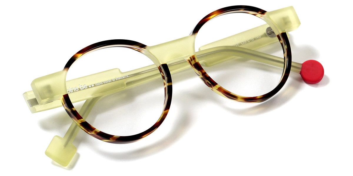 Shiny Dark Veined Tortoiseshell