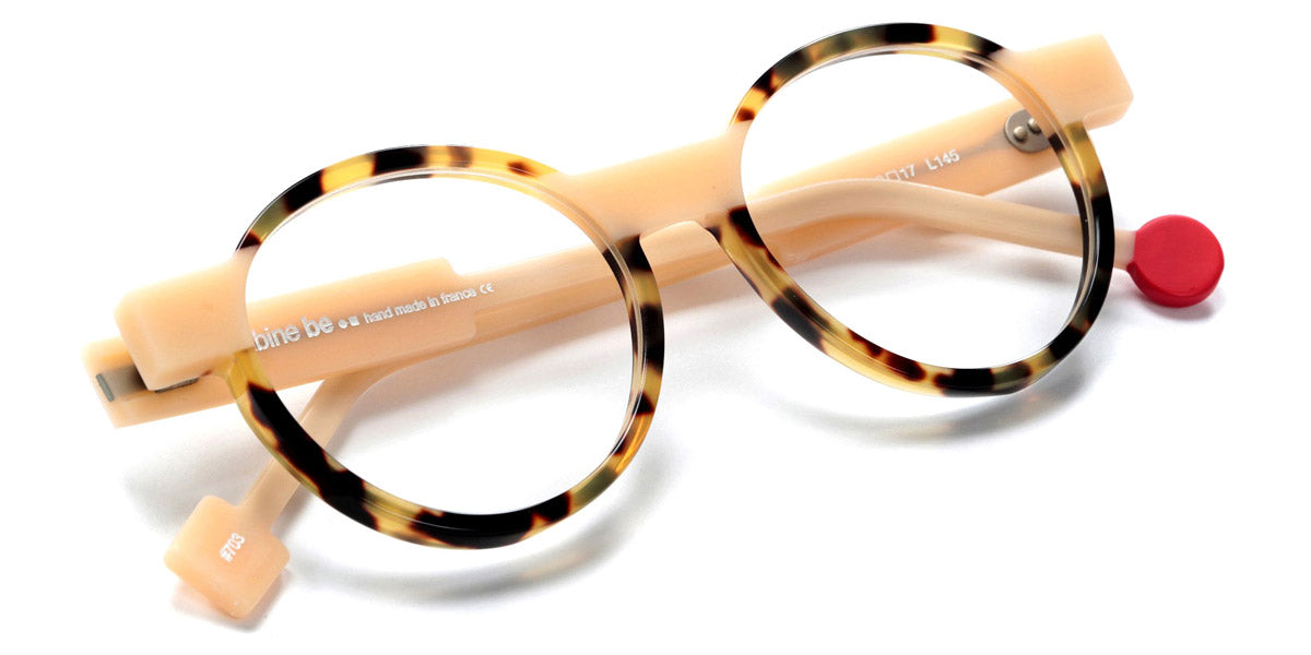 Shiny Tokyo Tortoise