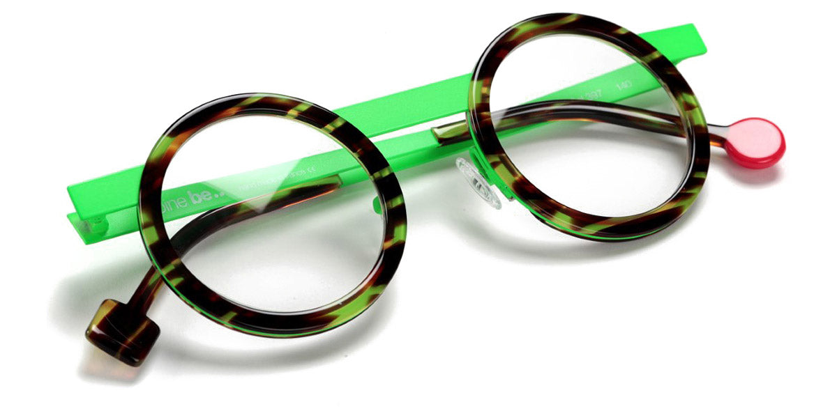 Shiny Veined Tortoise