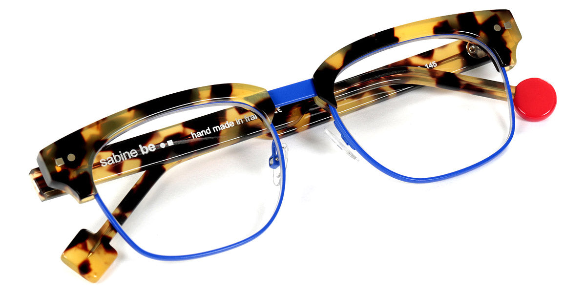 Shiny Tokyo Tortoise