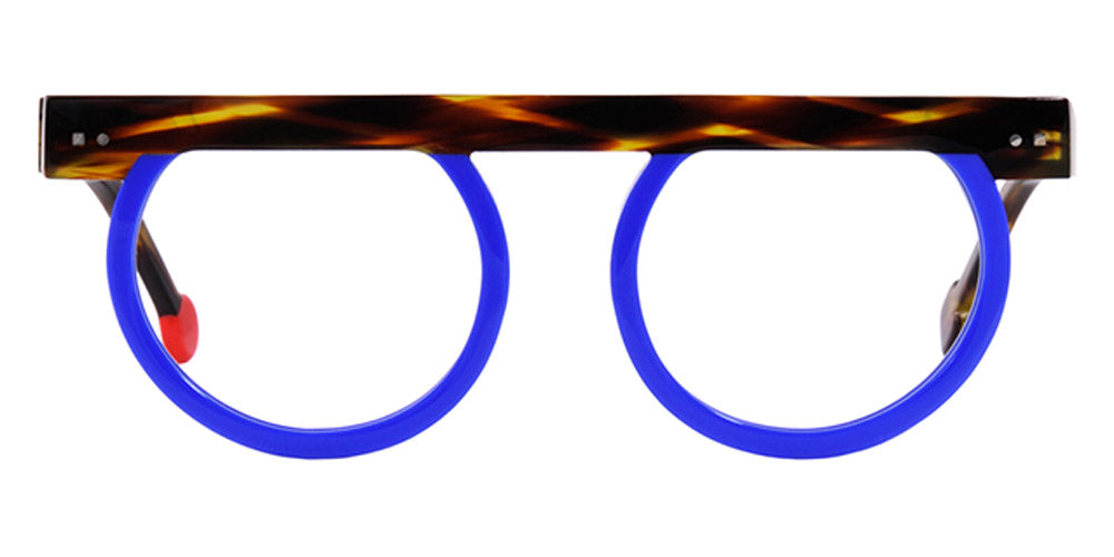 Shiny Dark Veined Tortoise