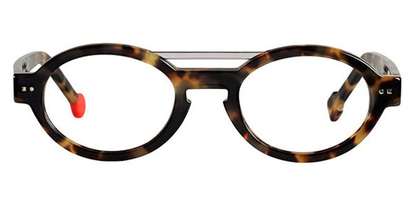 Shiny Tokyo Tortoise