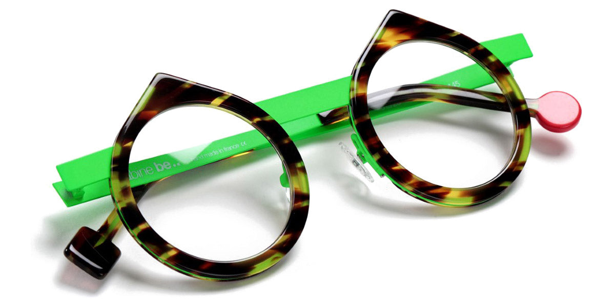 Shiny Veined Tortoise