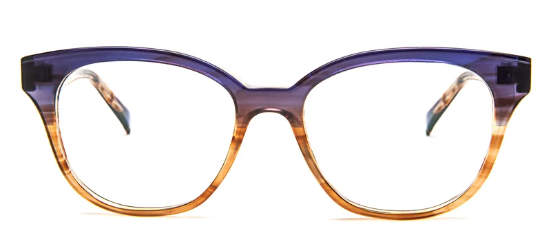 Purple Tortoise Gradient