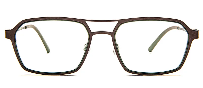 Sunflower view 1