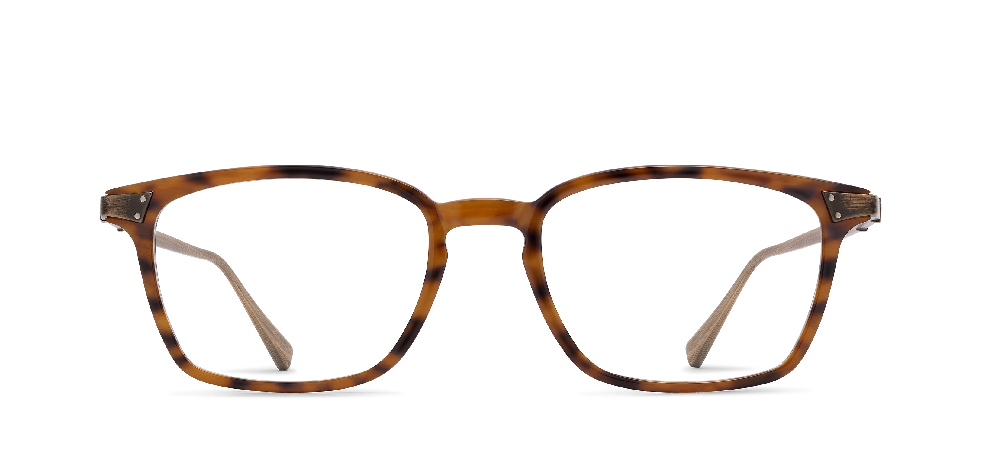 RMNYC 2015 HORN view 1