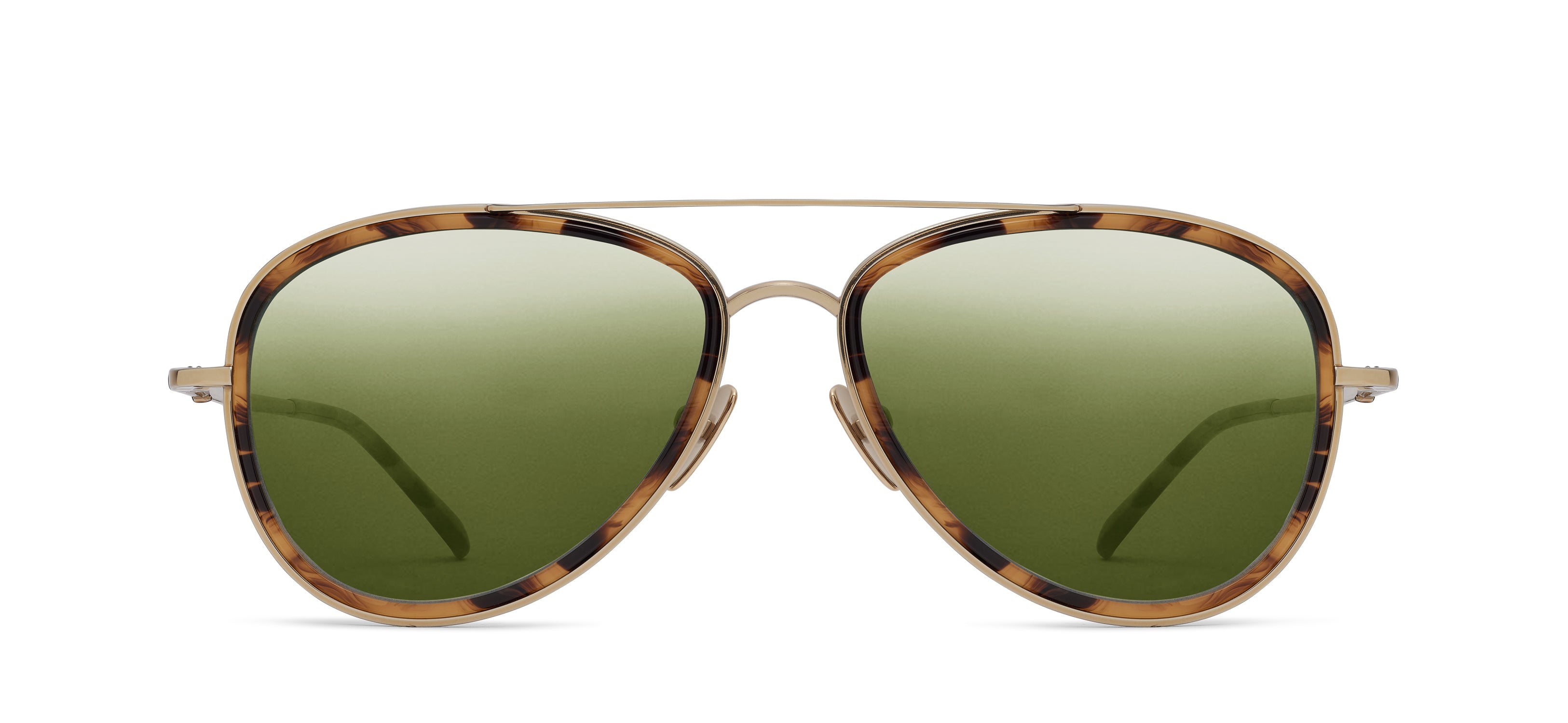 Gold / Elm 145