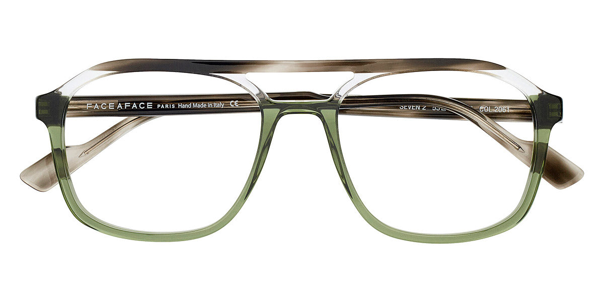 Gray Transparent Tortoise
