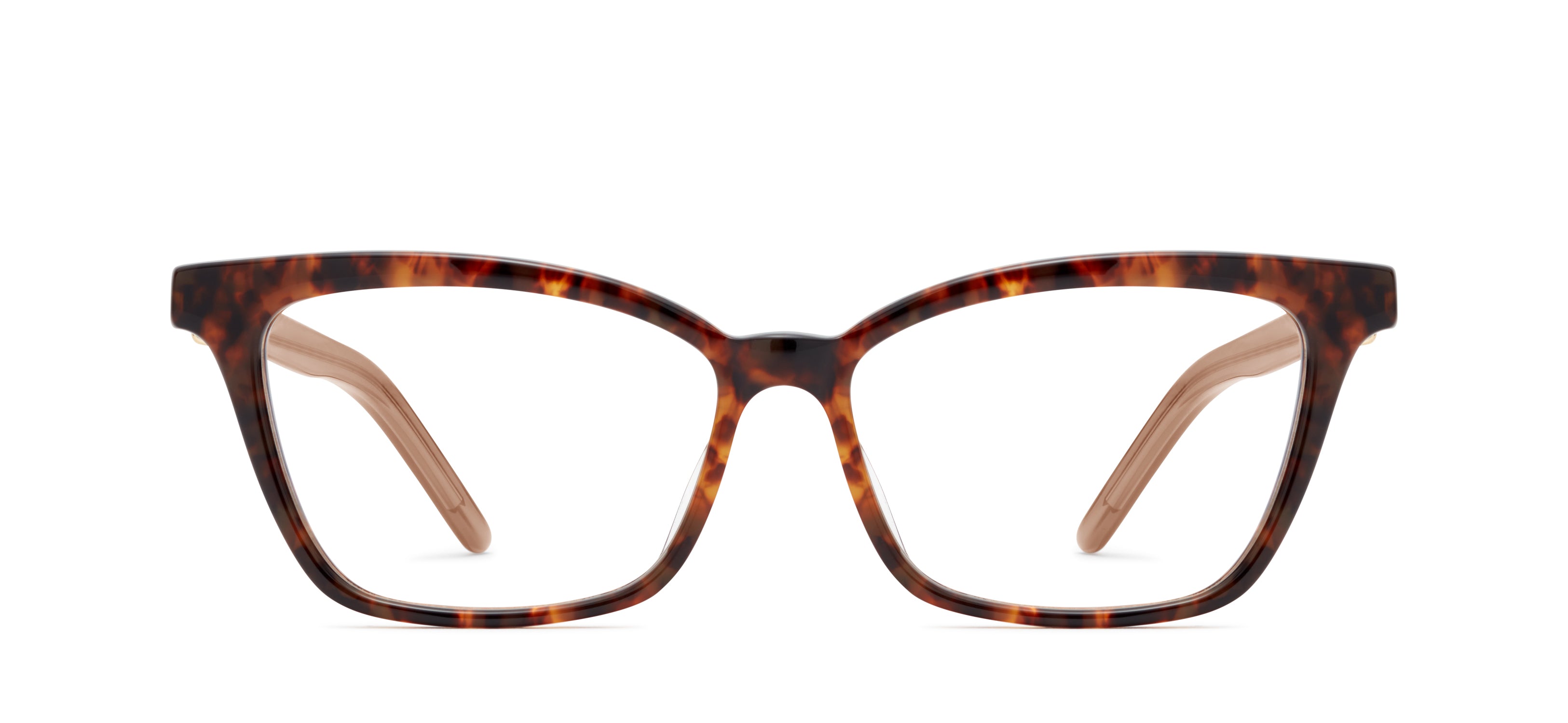 Tortoise 517