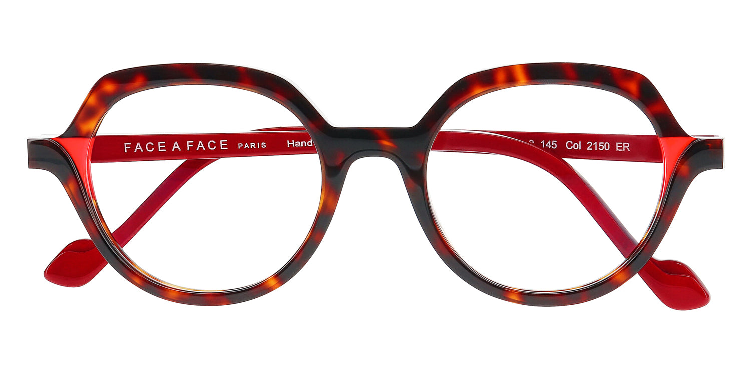 Light Dark Tortoise
