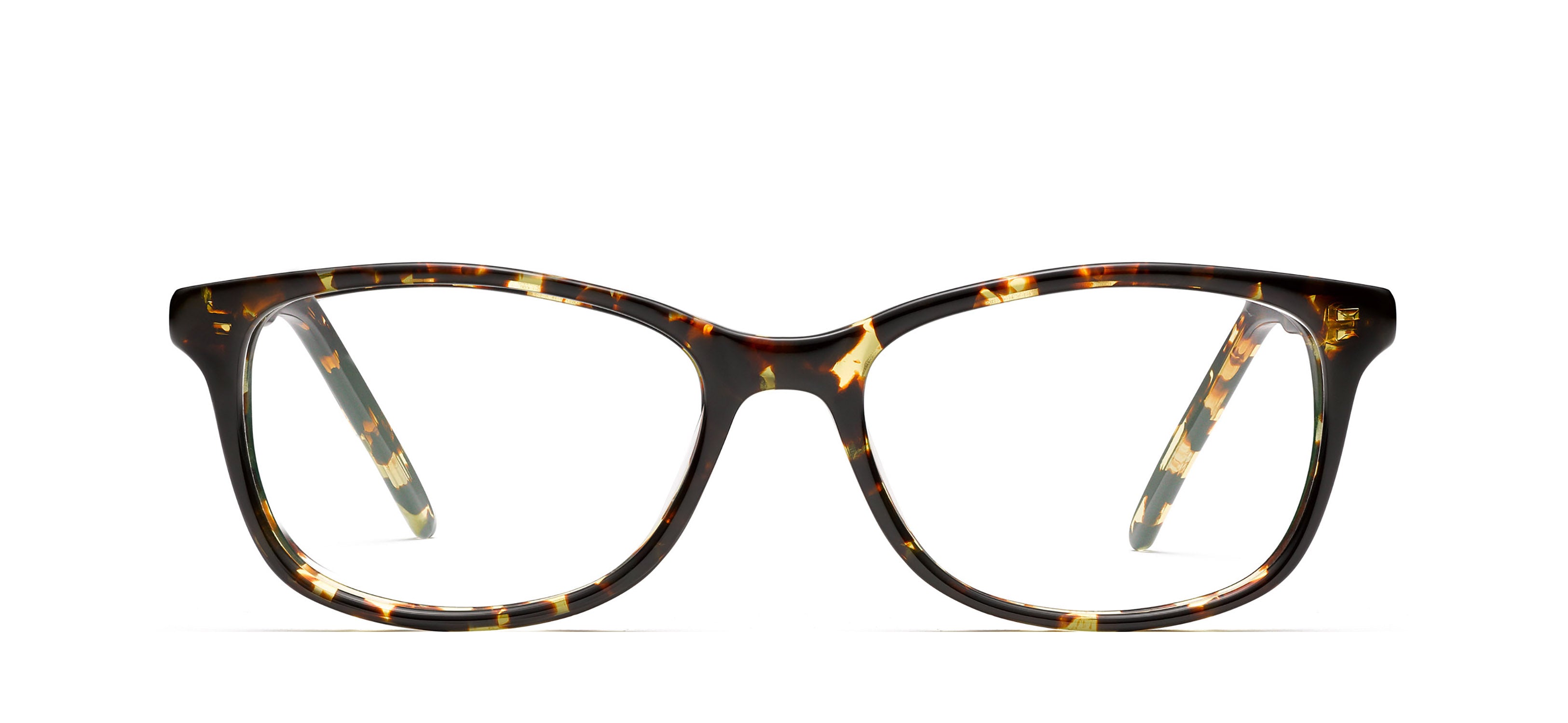 Tokyo Tortoise 243